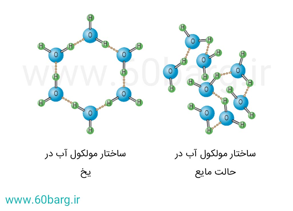 ساختار مولکول آب